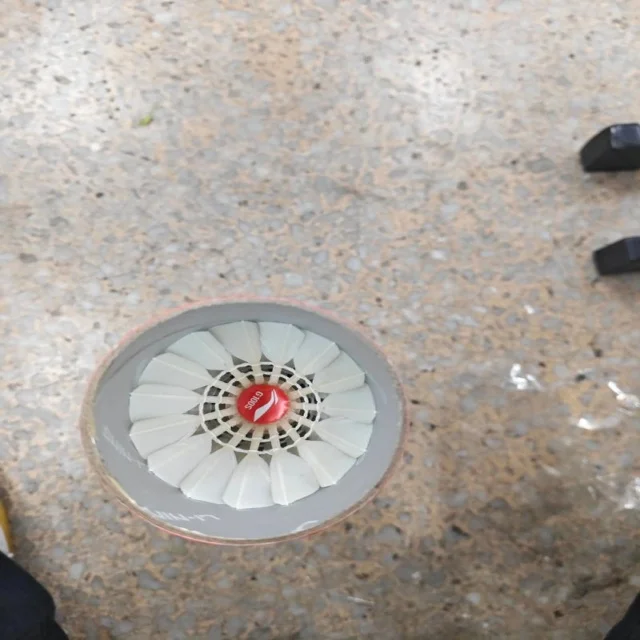 林雨薇跨栏首秀尽显实力与潜力